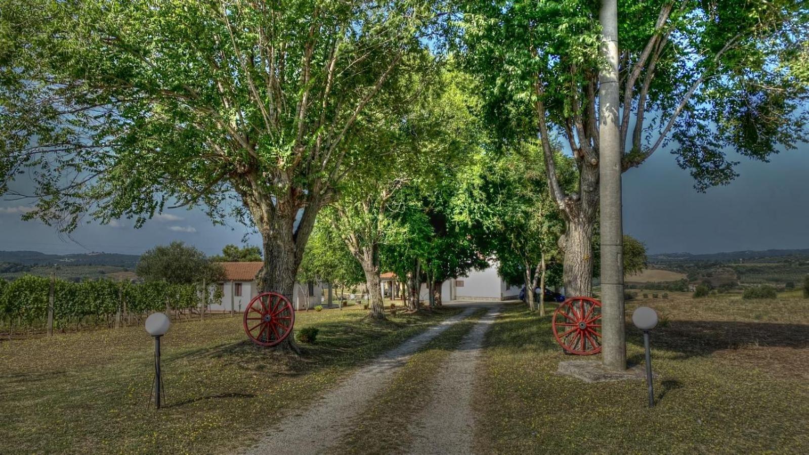 Agriturismo Uliveto Gretacci Montemerano Exterior photo